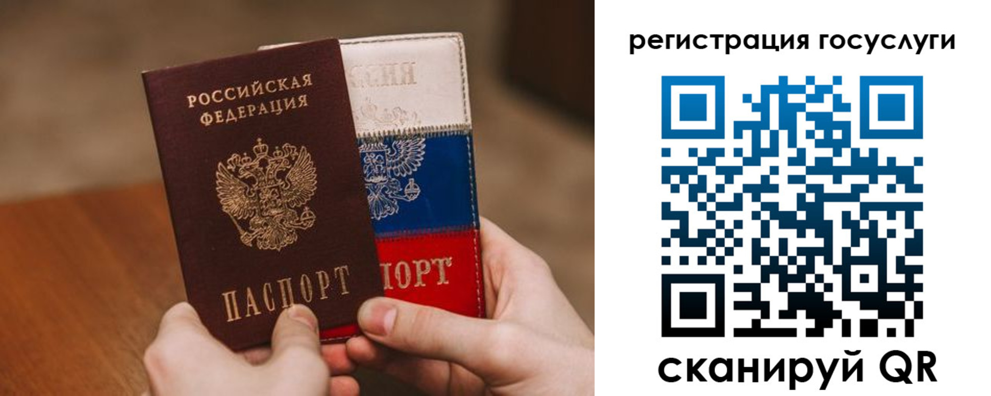 купить прописку в Сельцо